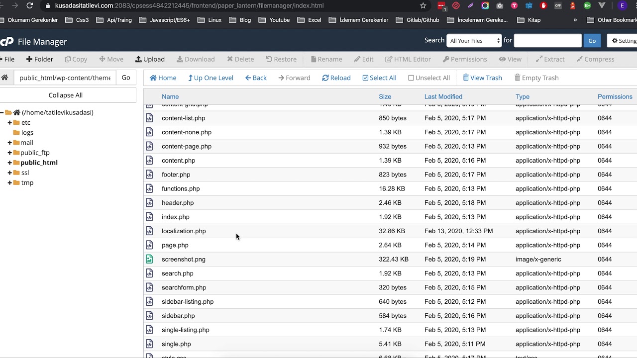 Wordpress Cpanel Translate YouTube